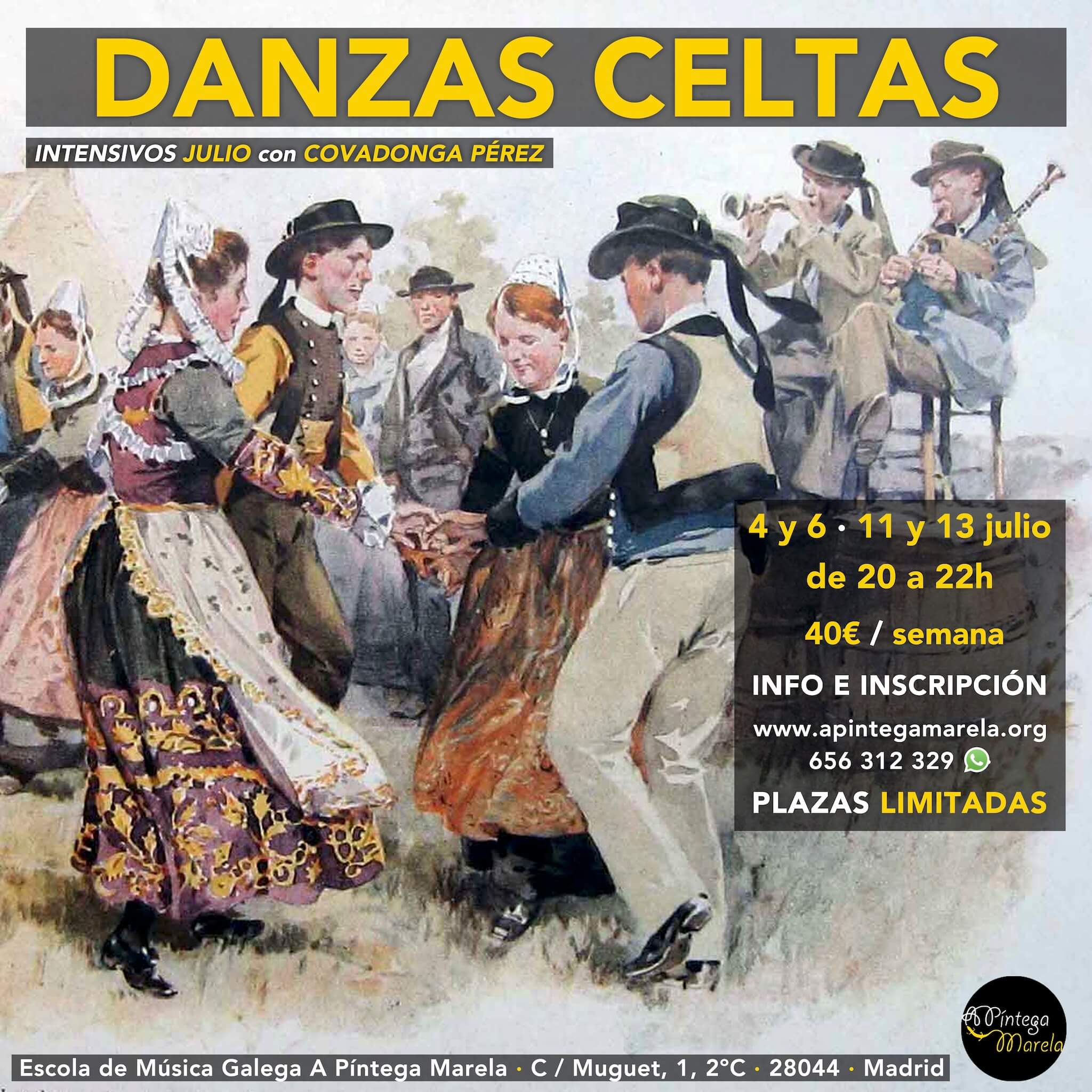 Cursos de Verano 2017